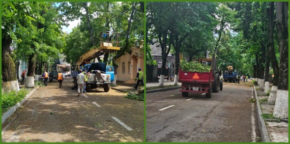 FOTO // Peste 150 de muncitori antrenați la Orhei în lucrări de înlăturarea consecințelor după furtuna puternică